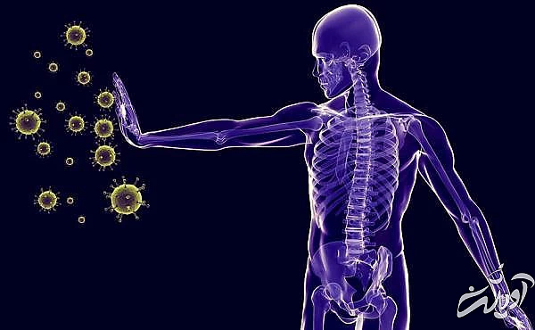 سیستم ایمنی بدن